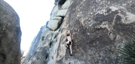 Angelica Danger Dawn hot star photos