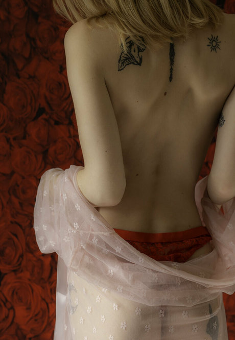 summerlosco xxx star img