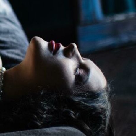 MarshSwallow star adult img