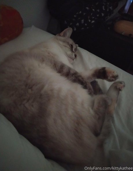 kittykathee model pretty photos