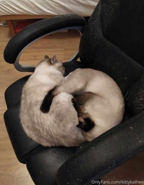 kittykathee sex model pictures