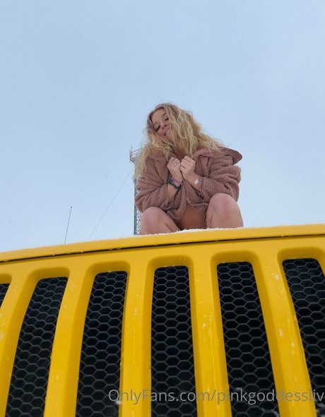 pinkgoddessliv model perfect galleries