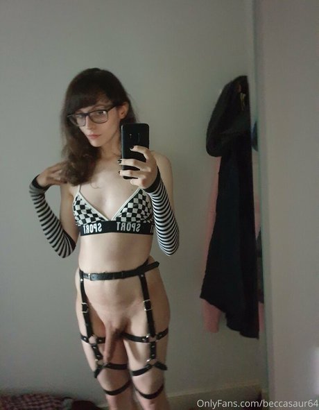 Beccasaur64 model perfect image