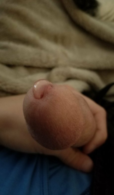 plushopossum pornstar nice pictures