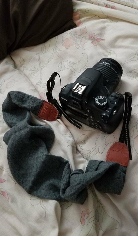 plushopossum star art pics